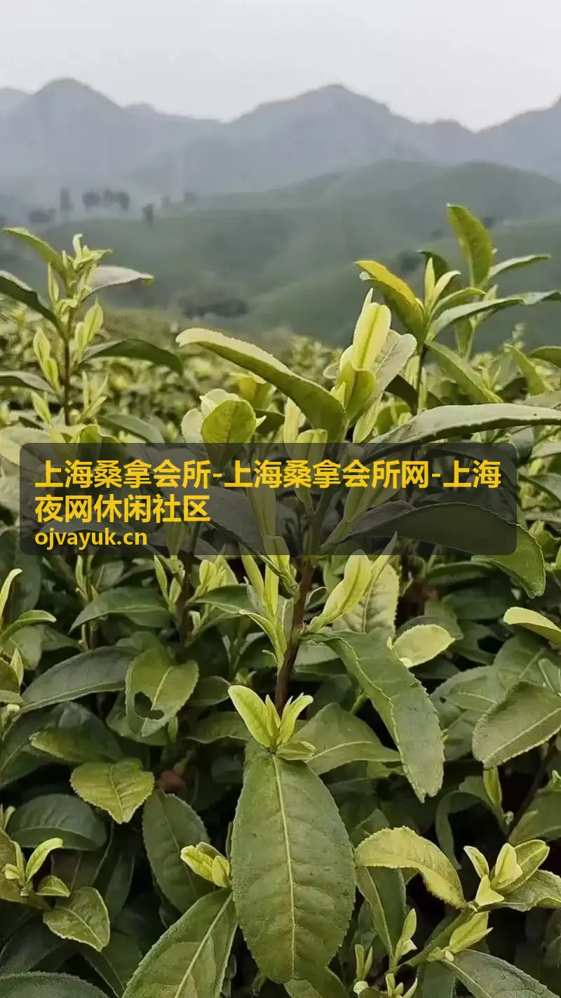 特色汗蒸养生馆